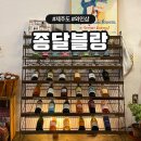 종달블랑 | 제주도 구좌읍 종달리 와인샵 종달블랑 애견동반 가능