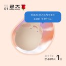 리안 동물병원 | 2026년 1월 4주_38주 임신일기 D-1