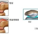 연화 이미지