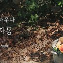 빵글마켓 네이버블로그