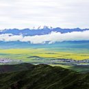 대자연에 경의를..아래는 유채 위는 설산, 그 끝엔 노을빛 무지개산 " 간쑤 남부와 칭하이 동부 ④ 먼위엔과 장예 이미지