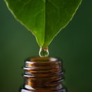 아워스한의원 이미지