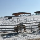 혁이목장 이미지