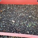 비당농장 이미지