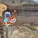 효자동 박태성정려비및묘 이미지