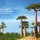 금호타이어 앞 이미지