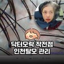 세븐일레븐 인천계양작전점 | 계양구 두피 | 닥터모락 작전점 후기｜스트레스성 인천탈모 관리 직접 받아봤어요