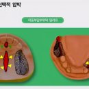 라이트바디짐 이미지