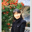 시루비아 이미지