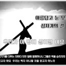 우리가 이 땅에 살아 갈 이유(고린도전서 9:22-27.) 이미지