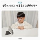 Yellow | 잉글리시 에그 가격 고민했지만 리뉴얼 디에그 Yellow 들인 후기