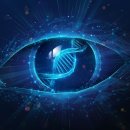 The body repair shop 이미지