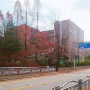 상탑초등학교 | [허니와 강의] 분당 상탑초등학교 교직원 연수 퍼스널컬러를 활용한 스타일링 교육