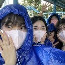 대남통닭 - 경주시 금성로 295 | 대남통닭