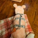 라벨르 스파 펜션 | 가평애견동반펜션 야외스파 살짝무서웠던 귀곡산장 후기(가평라벨르펜션)