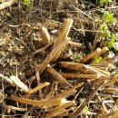 양주농장 이미지