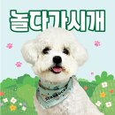 놀다가시개 이미지