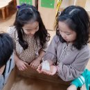 만정초교병설유치원 이미지