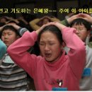부흥회집 Daum카페