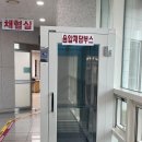 채담 이미지