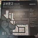 룩옵티컬 잠실 이미지