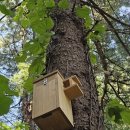 강원대학교 야생동물구조센터 이미지