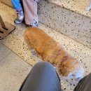 안녕아가 이미지