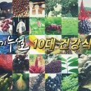 100인의 전문가가 선정한, 천기누설 10대 건강식품/ 천기누설 이미지