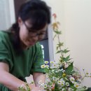 꽃꽂이 교실2 이미지