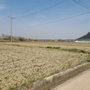 복福부동산공인중개사사무소 이미지