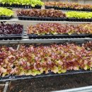 송가네종묘사 이미지