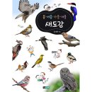 진선