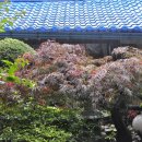 청기와집 이미지