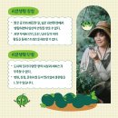 시골상점 이미지