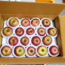 용안농약사 이미지