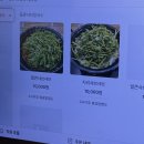 흥동로 | 김해 등촌샤브칼국수 흥동점 가성비 샤브칼국수 볶음밥 방문후기