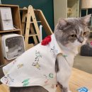 달봉이네 대연점 이미지