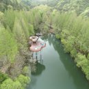 5월 가족과 함께하는 산림 힐링 여행, 아이와 떠나는 전국 수목원 나들이 이미지