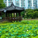 양산호수공원 이미지