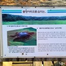 람사르습지길 이미지