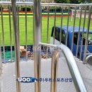 청운초등학교 이미지