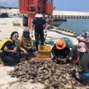 나정2리 이미지