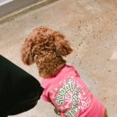 그르르르(grrr!) 이미지