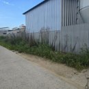 산동농장 이미지