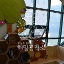 해성유치원 이미지