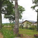 영농조합법인동편제마을 이미지