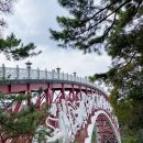 당거농장 | [국내/제주]색동투어 제주패키지여행 3박4일 2일차 내돈내산 솔직후기