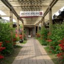 고구려 민속촌