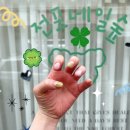 샵봄애견샵 | 부산 전포 네일 전포네일숲 애견동반 가능 네일샵