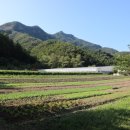 조성위탁영농 이미지